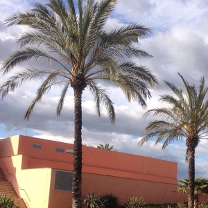 儿子隔板猜妈妈姐姐妹妹节目
